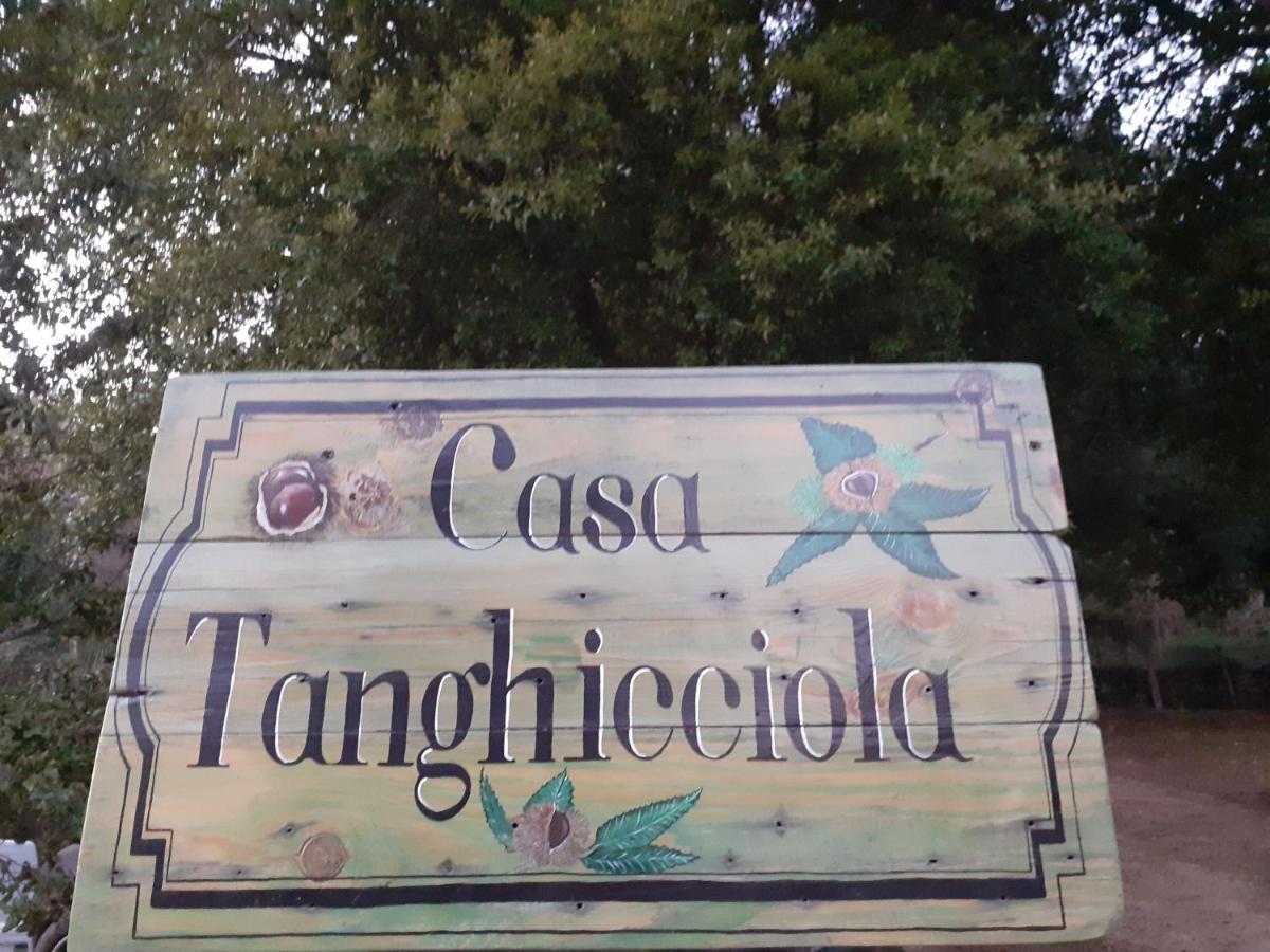 Apartamento Casa tanghicciola Levie Exterior foto